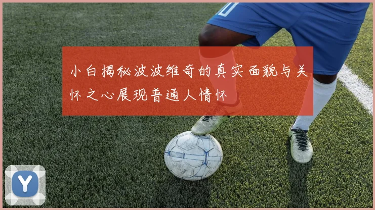 小白揭秘波波维奇的真实面貌与关怀之心展现普通人情怀